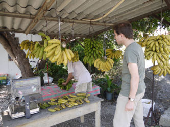実はトルコにもあるんです。バナナのたたき売り。バナナが産地の南地方に行けば、バナナ農家の人たちが小屋の軒先にバナナを吊るして販売しています。日本で食べるバナナとは一味違うトルコのバナナ。お試しあれ。